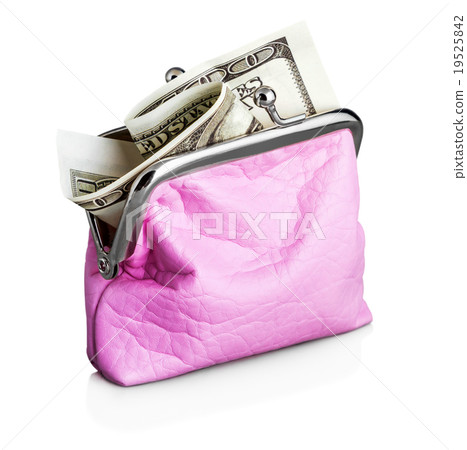 Purse with hundred dollar banknote 19525842