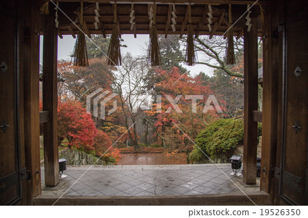Bishamondo Bishamondo 19526350