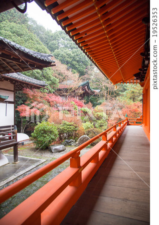 Bishamon-do, main hall Garden of autumn tint viewed from corridor Bishamon-do, main hall Garden of autumn tint viewed from corridor 19526353