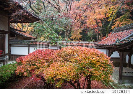 Bishamon Do, the mainland courtyard Bishamon Do, the mainland courtyard 19526354