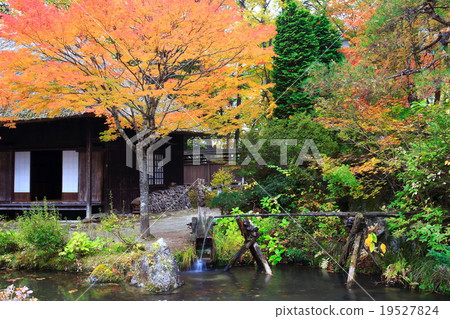  Deep emotion 19527824