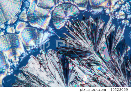 維生素C的晶體 19528069