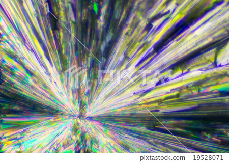 Crystals of vitamin C Crystals of vitamin C 19528071