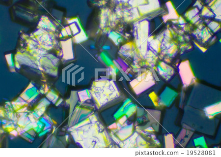 Crystals of vitamin C Crystals of vitamin C 19528081