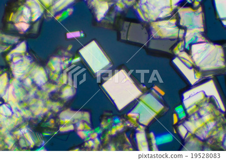 維生素C的晶體 19528083