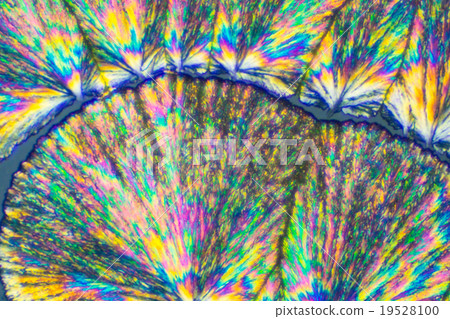 Crystals of vitamin C Crystals of vitamin C 19528100
