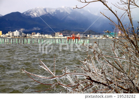 Spray ice of Lake Biwa Spray ice of Lake Biwa 19528282