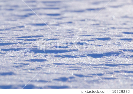 Pattern of snowy field 19529283
