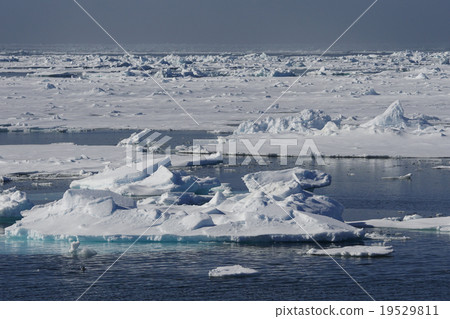 北極景觀 北極景觀 19529811
