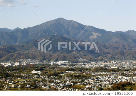 Oyama 19531160