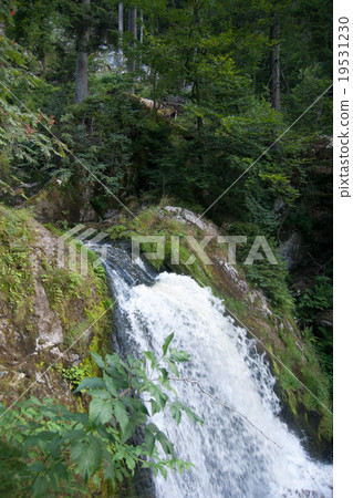 Triberg waterfall Triberg waterfall 19531230