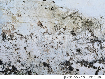 old wall texture 19532482