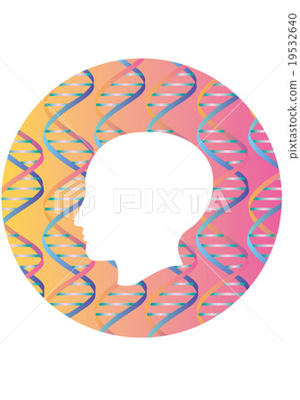Double spiral structure pattern in profile profile silhouette Double spiral structure pattern in profile profile silhouette 19532640