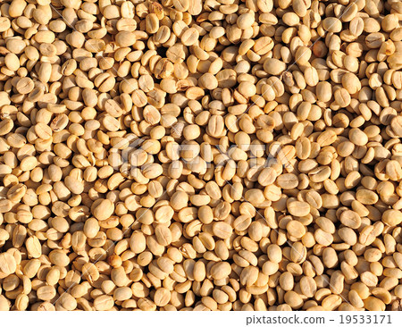coffee beans 19533171