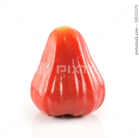 Rose apples or chomphu isolated  19533172