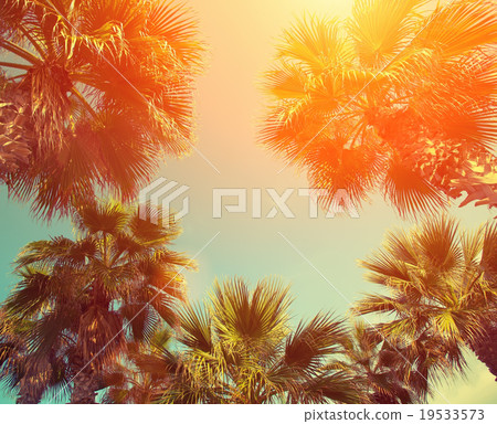 Palm trees against sky at sunset Palm trees against sky at sunset 19533573