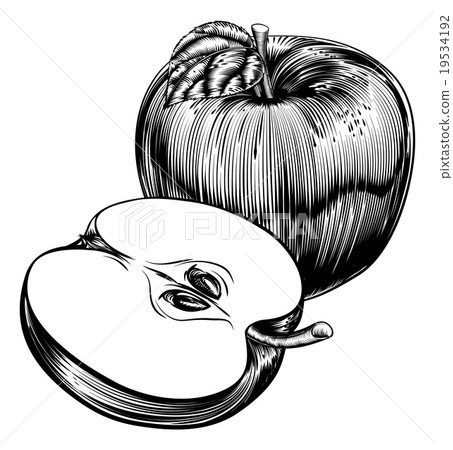 Vintage Woodcut Apples Vintage Woodcut Apples 19534192