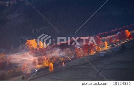Autumn morning. Morning light. Autumn foliage.  19534525