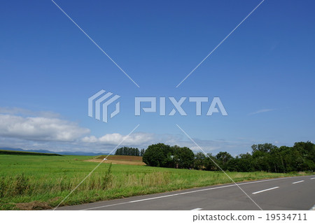 Nature of Hokkaido　 19534711