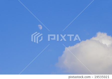 Daytime Moon 19535021
