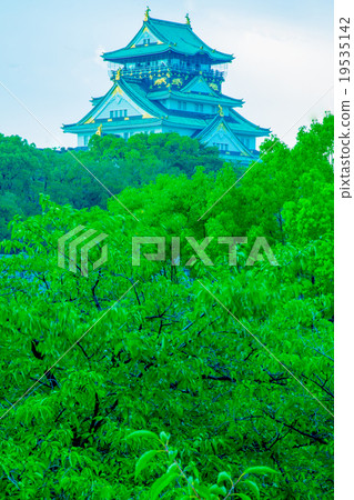 Osaka Castle  19535142