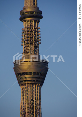 Sky tree  19535600