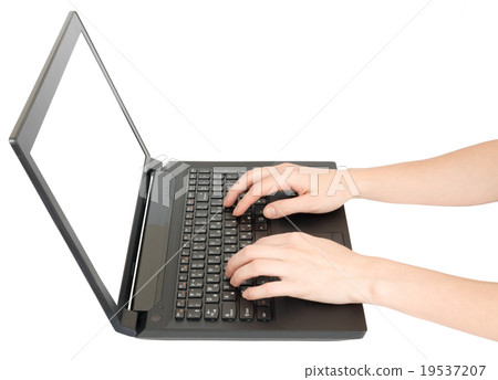 Female hands using laptop Female hands using laptop 19537207
