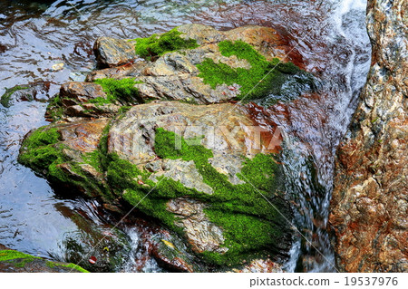 River River 19537976