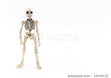 Upright softwork: Skeleton standing upright 19538110