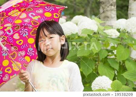 Hydrangea with a girl (rainy season image) 19538209