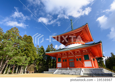 大本山Nemoto Nemoto大塔 19538987