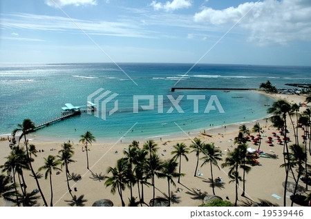 威基基海灘/希爾頓前線 19539446