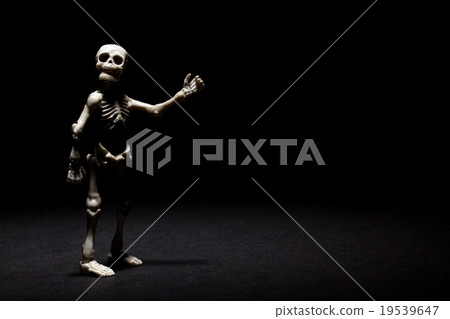 骨架呈現在黑暗中呈現在黑暗中 骨架呈現在黑暗中呈現在黑暗中 19539647