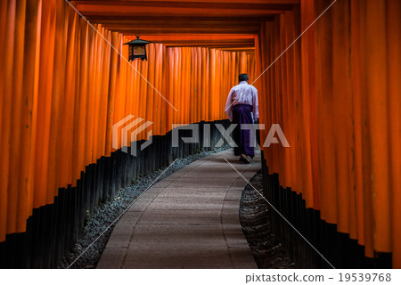 Senbon Torii Senbon Torii 19539768