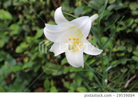 Yuri Takasago Yuri Takasago 19539884