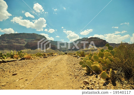 光明天使小徑 19540117