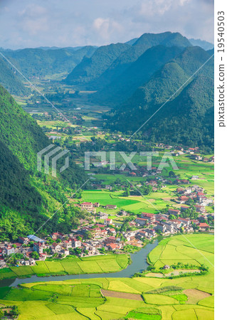 village rice field in valley Bac Son, Vietnam. 19540503