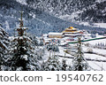 spruce forest around house snow mountain 19540762