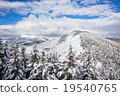 spruce forest around mountain 19540765
