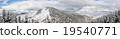 spruce forest around mountain 19540771