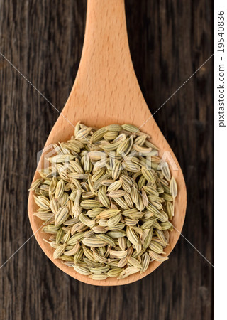 Fennel seed Fennel seed 19540836