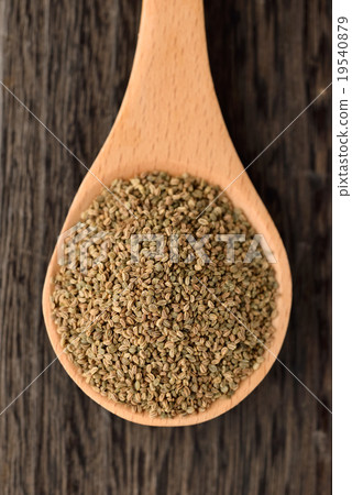 芹菜種子 芹菜種子 19540879