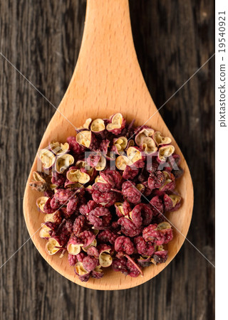 HanaHajikami HanaHajikami 19540921