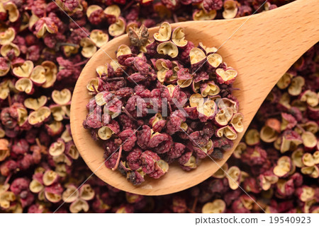 HanaHajikami HanaHajikami 19540923