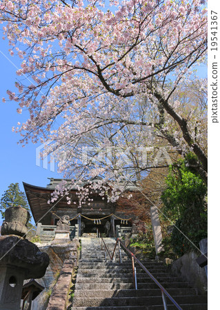 春天Fukuman Kagakura Takashi Kurugi 19541367