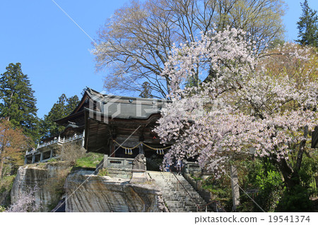 春天Fukuman Kagakura Takashi Kurugi 19541374