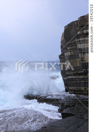 Susa Bay's horn feller 19542018