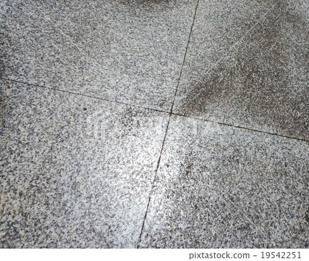 Stone floor 19542251