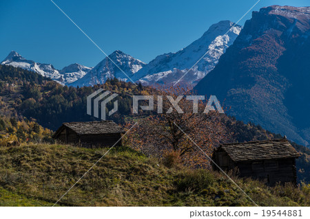 Autumn in swiss alps Autumn in swiss alps 19544881