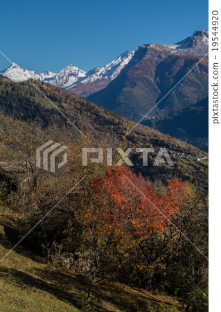 Autumn in swiss alps 19544920